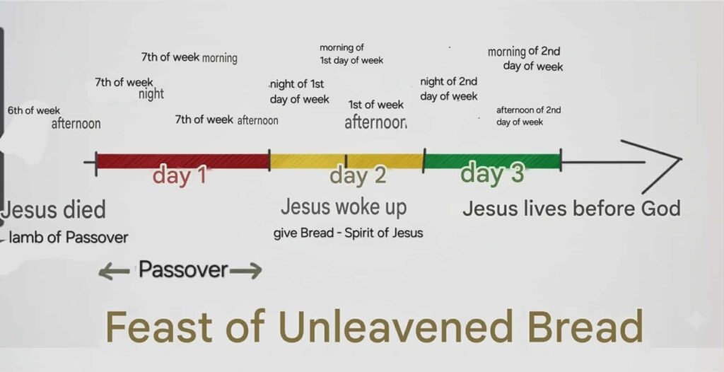 2b49902a 9077 4b82 a13a 4beaa315ee3b