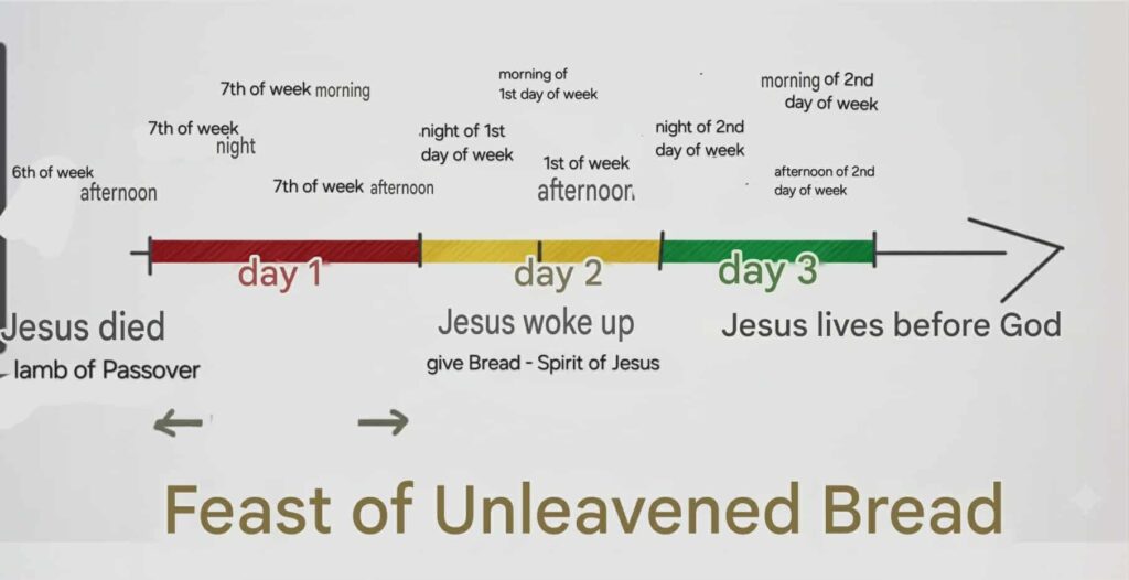 5207be57 8165 4050 b2c9 cff0fbc13ac8